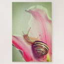 Suche nach schalen puzzle Natur