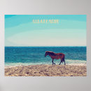 Suche nach wild horse poster Wilde pferde