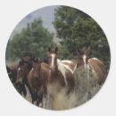 Suche nach wild mustang aufkleber Gruppe