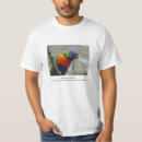 Suche nach lorikeets tshirts Wild lebende tiere