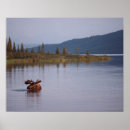 Suche nach die elche poster Berg