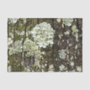 Suche nach camouflage seidenpapier Rustikal