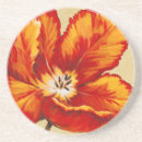 Suche nach tulpen untersetzer Botanisch