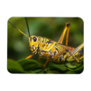 Suche nach everglades magnete Nationalpark