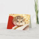Suche nach niedlicher hamster karten Haustier