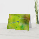 Suche nach damselfly Fotografie