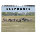 Suche nach des wilden tieres kalender Elefanten