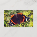Suche nach roter admiral Tiere
