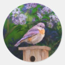 Suche nach bluebird aufkleber Schnee