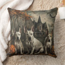 Suche nach bullterrier kissen Haustier