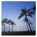 Suche nach hawaii fliesen Palme