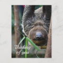 Suche nach hanging postkarten Tier