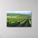 Suche nach weinreben leinwandbilder Weinberge