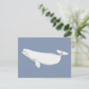Suche nach whaler postkarten Meer