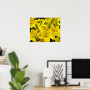 Suche nach lilium poster Botanisch
