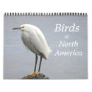 Suche nach umwelt kalender Tiere