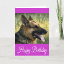 Suche nach german shepherd karten Hirte