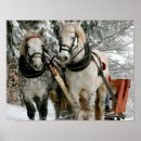 Suche nach pferdeschlitten poster Winter