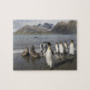 Suche nach antarktis puzzle Meer