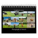 Suche nach rinder kalender Ranch