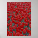 Suche nach betten poster Blume