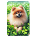 Suche nach kleeblätter magnete Tag der patristen