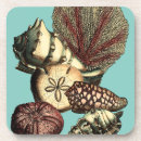 Suche nach älg untersetzer Starfish