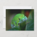 Suche nach gecko postkarten Reptil