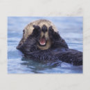 Suche nach seeotter postkarten Meer