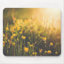 Suche nach blumenstrauß der blumen mousepads Frühling