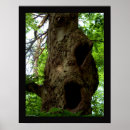Suche nach alter baum poster Holz