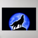 Suche nach wolf poster Hund