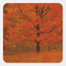 Suche nach herbstbaum aufkleber Orange