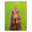 Suche nach lustige tiere kleine notizbücher Henne