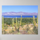 Suche nach baja california poster Kaktus