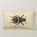 Suche nach wespe kissen Entomologie