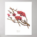 Suche nach philippinische poster Philippinen