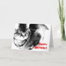 Suche nach schwarzweiss katze karten Haustier