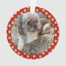 Suche nach lustige schwimmen ornamente Niedlich