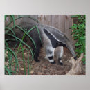 Suche nach lemur kunst poster Affe