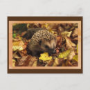 Suche nach glücklicher herbst postkarten Blätter