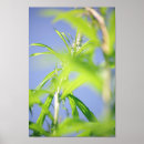 Suche nach fireweed poster Lila