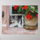 Suche nach interesse kunst Konzentration