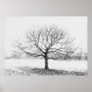 Suche nach winterbaum poster Kalt
