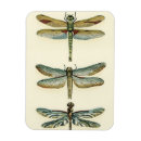 Suche nach dragonfly magnete Tiere