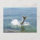 Suche nach meeres postkarten Im freien