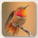 Suche nach kolibris untersetzer Natur