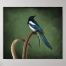 Suche nach corvid poster Vogel