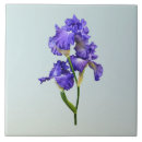 Suche nach iris fliesen Reis