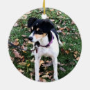 Suche nach rat ornamente Weihnachten